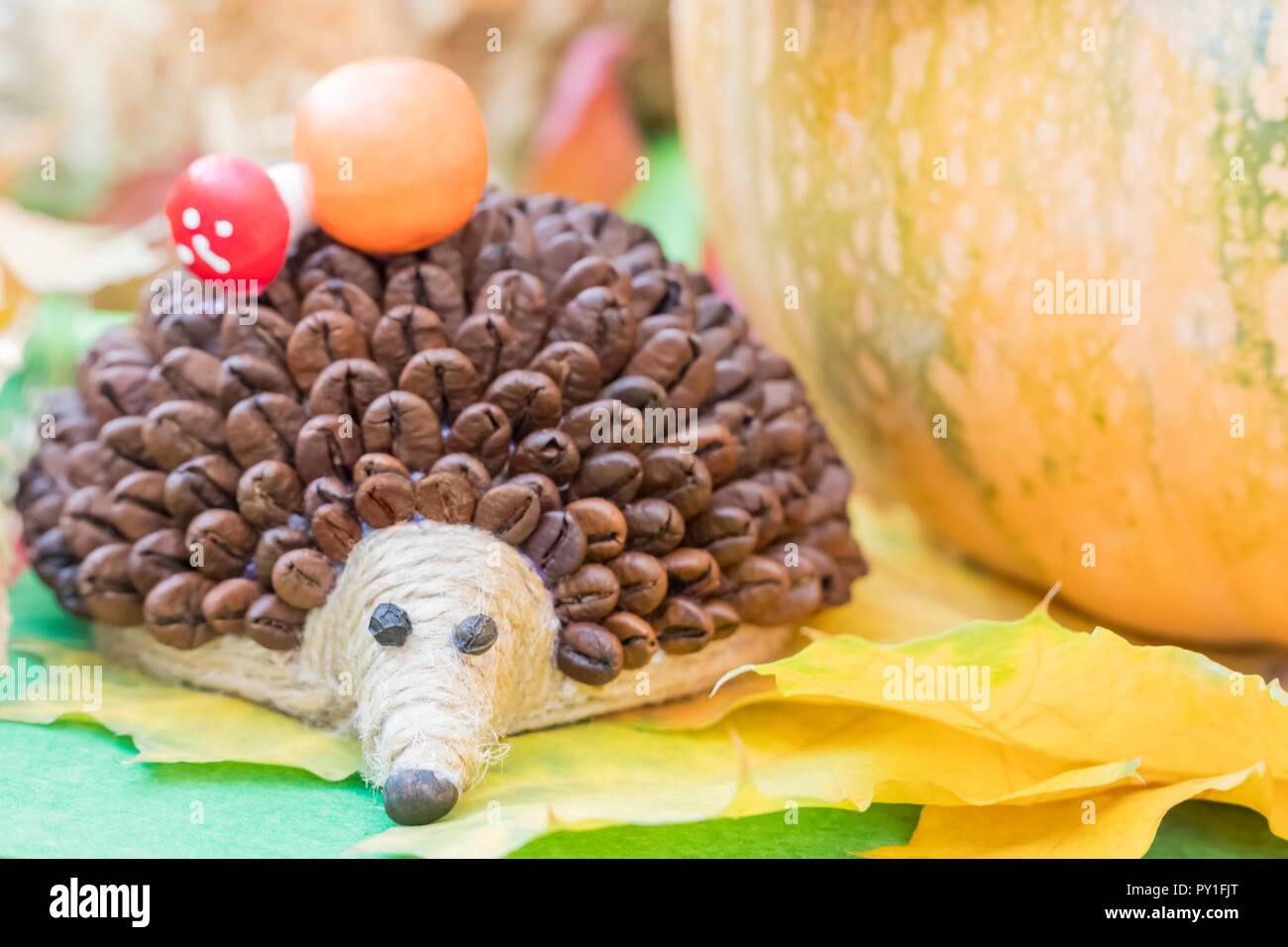 Hérisson avec des aiguilles avec des grains de café Banque D'Images