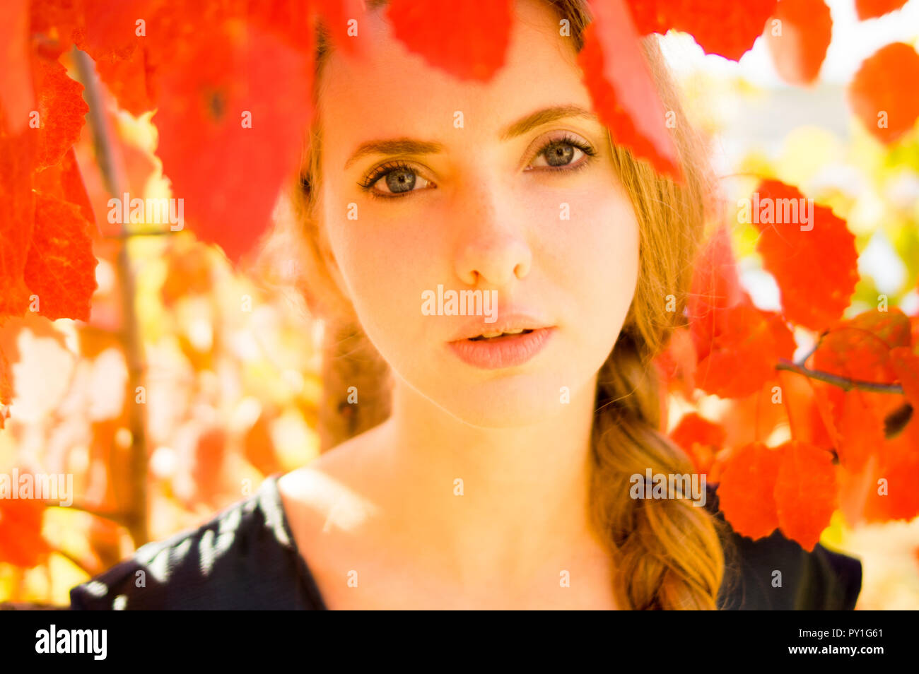 Portrait de belle fille avec feuilles rouges, automne Banque D'Images