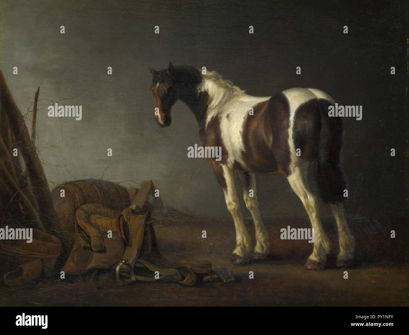 Abraham van Calraet - cheval avec une selle. Banque D'Images