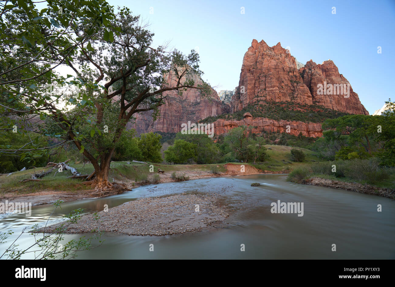 Virgin River qui s'écoule en douceur dans un cadre paisible Zion National Park, Utah, USA Banque D'Images