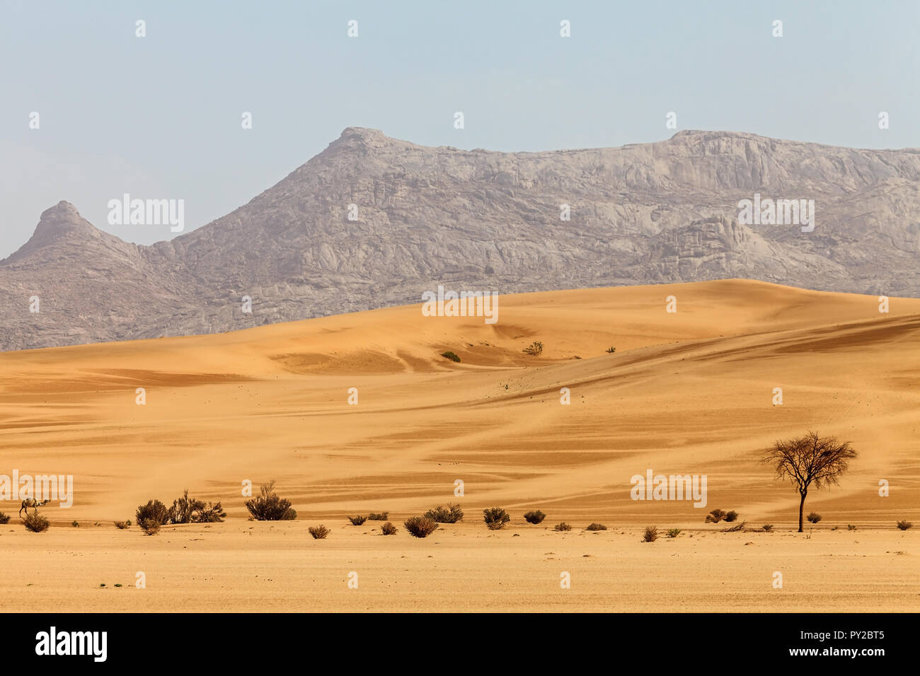 Paysage désertique, l'Arabie Saoudite Banque D'Images