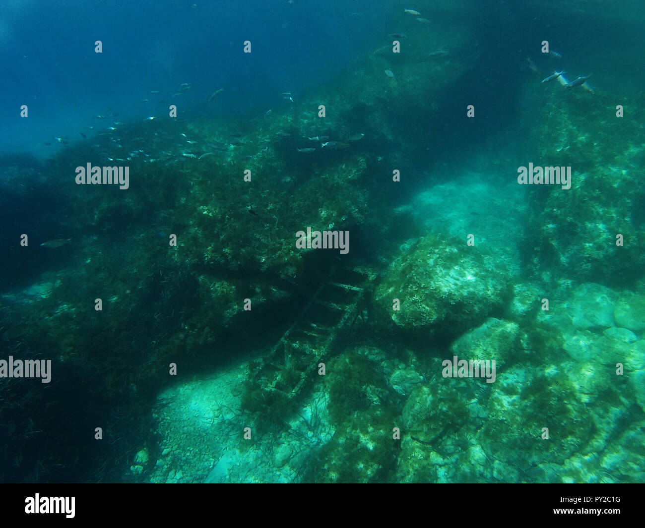 De bain sous l'eau dans la mer, Malte Banque D'Images