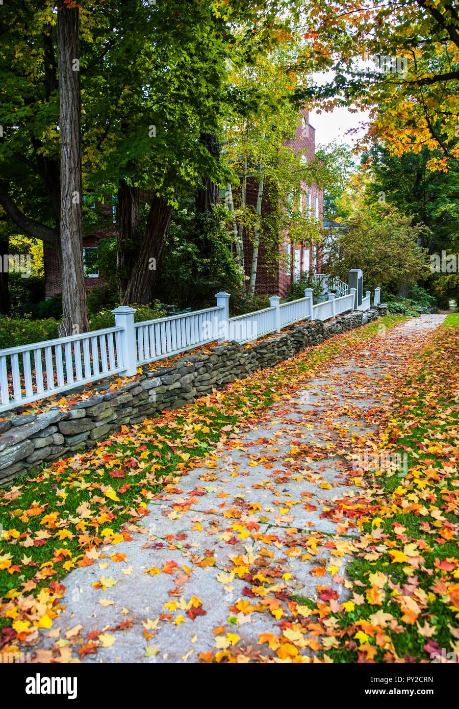 Feuilles aux couleurs automnales sur une passerelle avec une clôture blanche, Bennington, Vermont, USA, New England les feuilles d'automne feuillage d'automne jaune orange de l'automne nous Banque D'Images