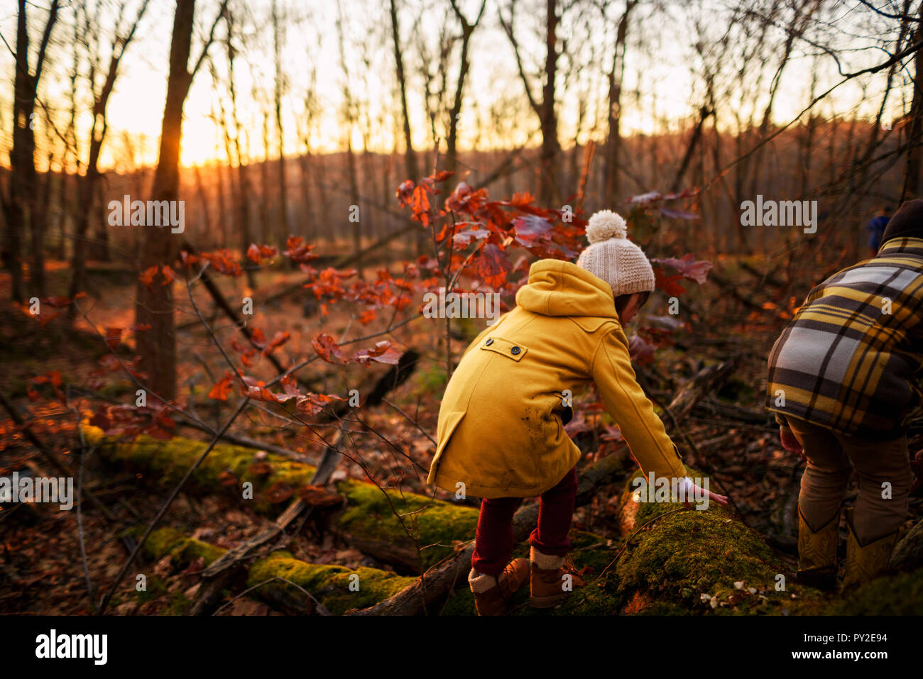 Garçon et fille jouant dans la forêt, United States Banque D'Images