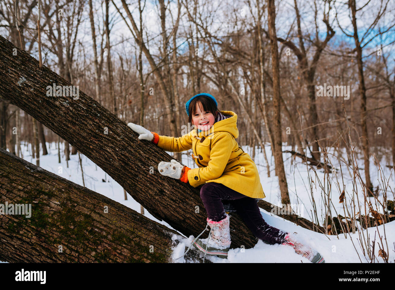 Smiling Girl climbing un arbre tombé, United States Banque D'Images