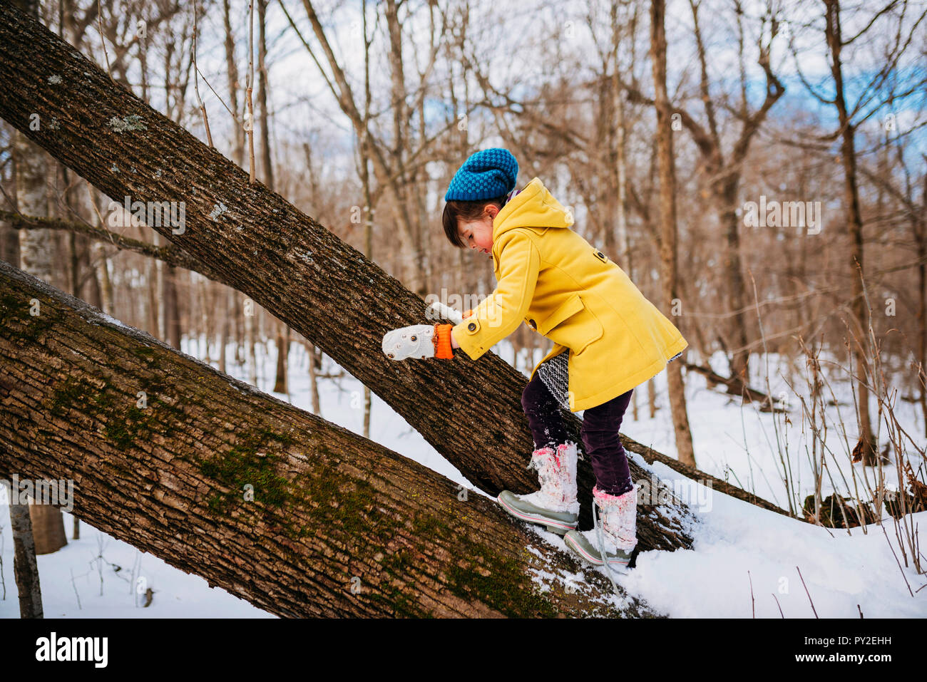 Girl climbing un arbre tombé, United States Banque D'Images
