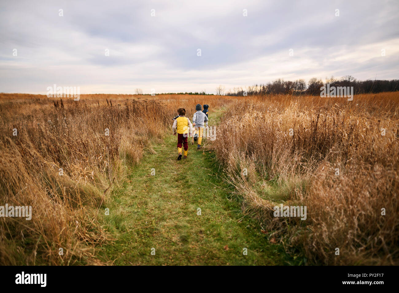 Trois enfants courir dans un champ, United States Banque D'Images