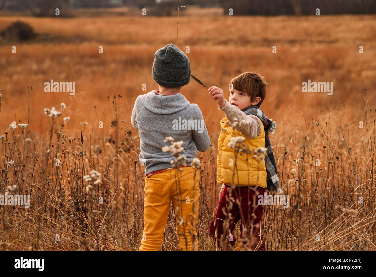 Deux garçons jouant avec l'herbe haute dans un champ, United States Banque D'Images