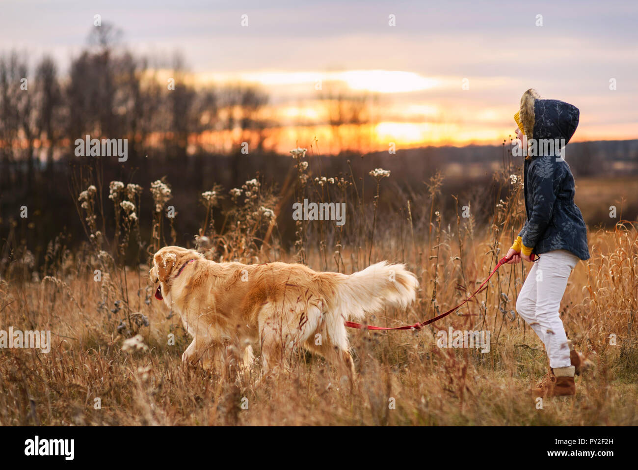 Fille prendre son chien, United States Banque D'Images