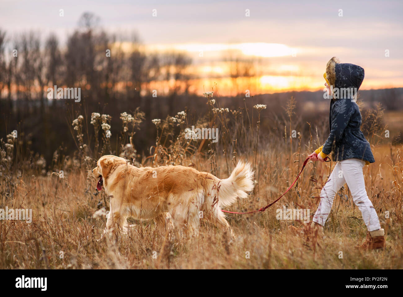 Fille prendre son chien, United States Banque D'Images