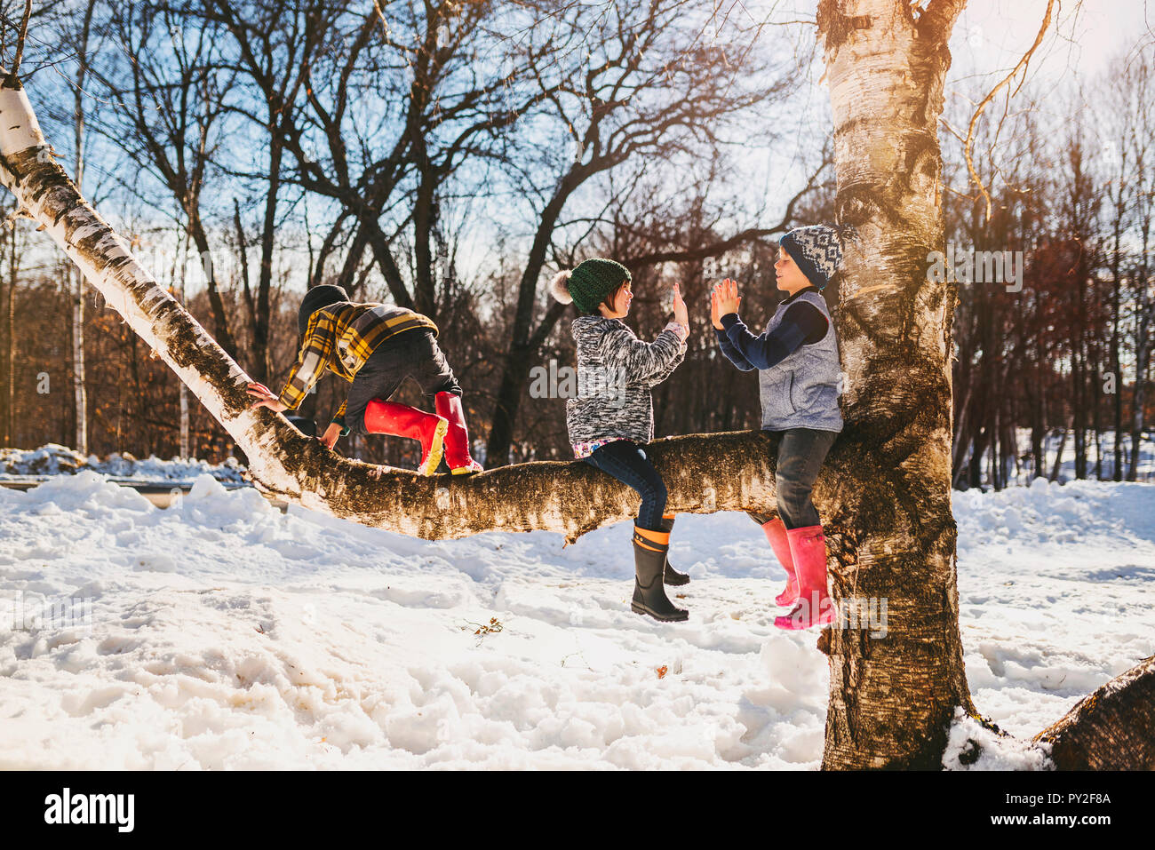 Trois enfants escalade un arbre dans la neige, United States Banque D'Images