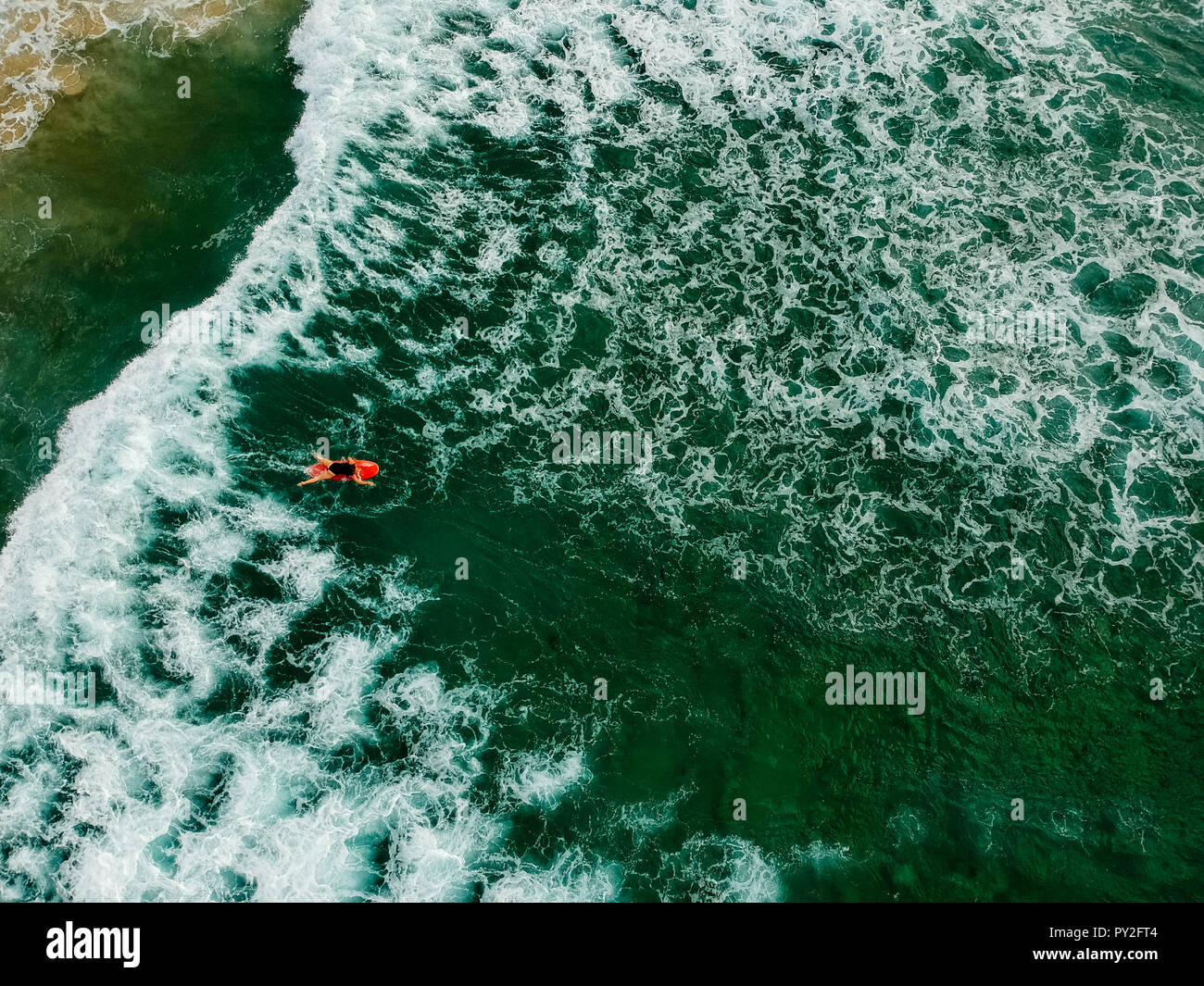 Surfer sur la pagaie pour attraper une vague, Bondi Beach, New South Wales, Australie Banque D'Images