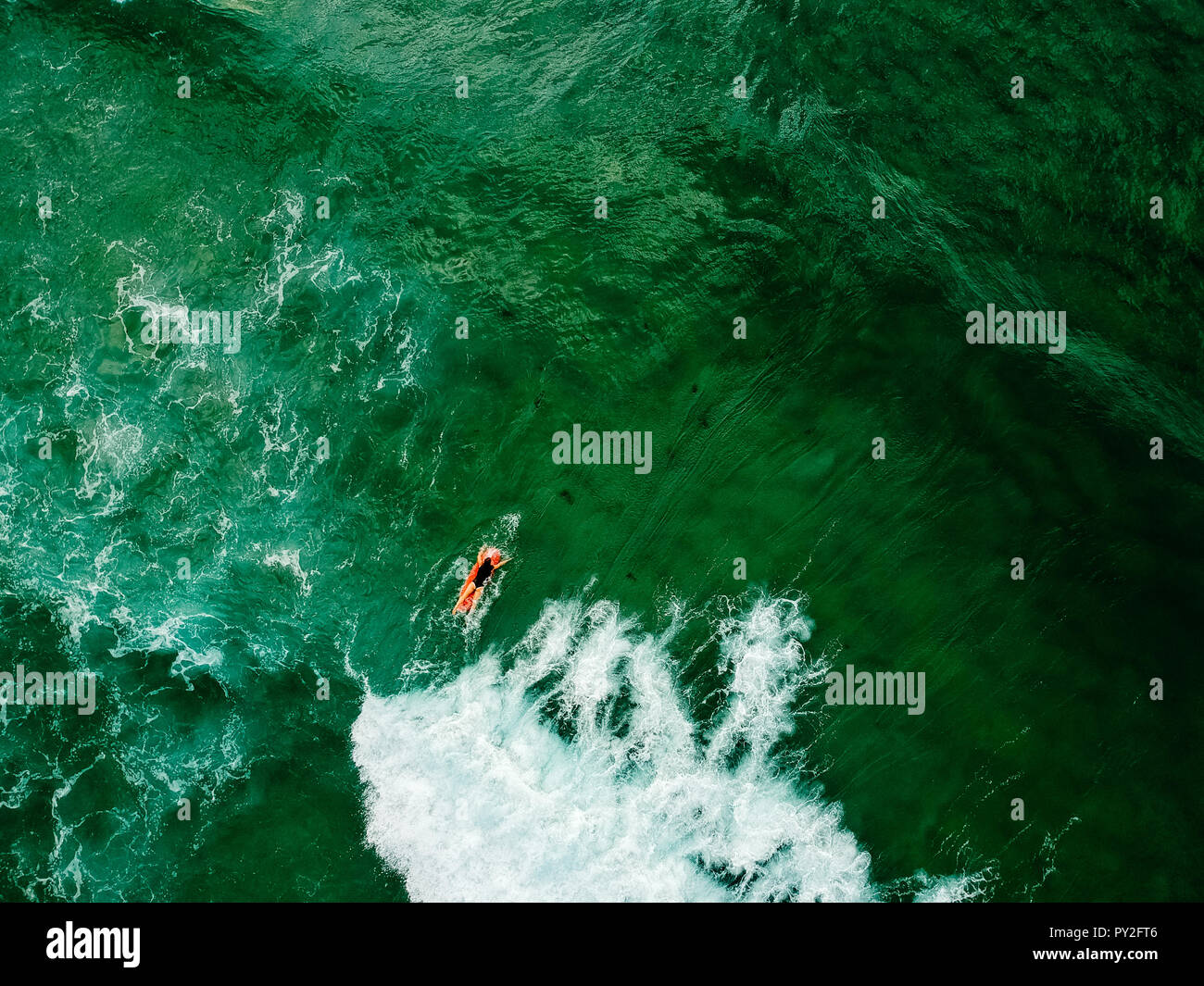 Surfer sur la pagaie pour attraper une vague, Bondi Beach, New South Wales, Australie Banque D'Images