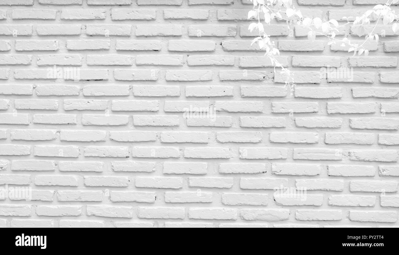 Mur de brique gris et blanc texture background avec l'espace pour le texte. Papier peint briques blanches. Accueil décoration intérieure. Les feuilles blanches de lierre sur mur de briques. Banque D'Images