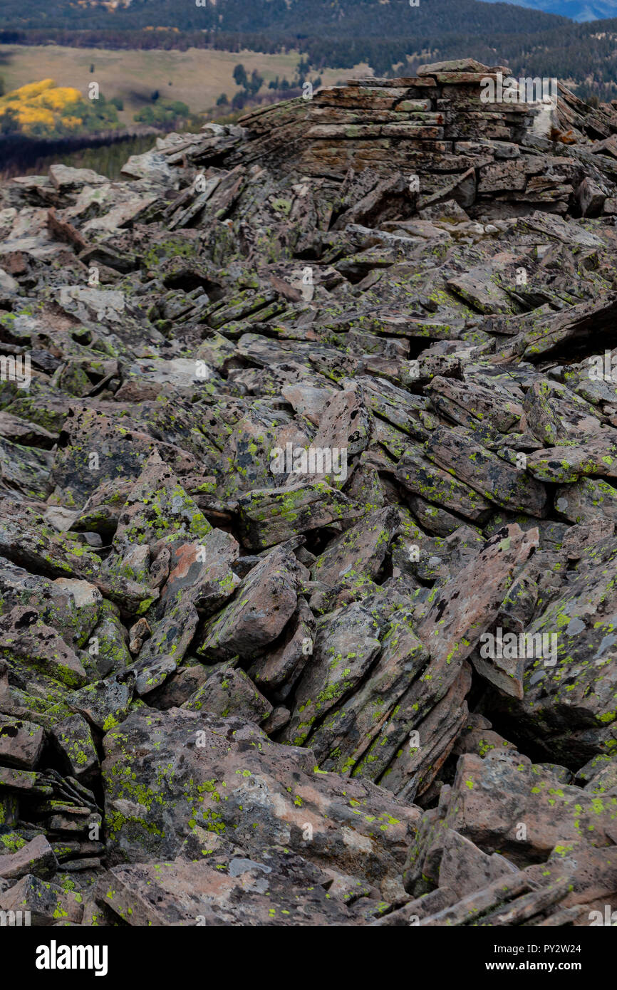 Un éboulis (talus), composé de roches sédimentaires de différentes tailles près de Taylor Lake dans le sud des montagnes Rocheuses, le Colorado Banque D'Images