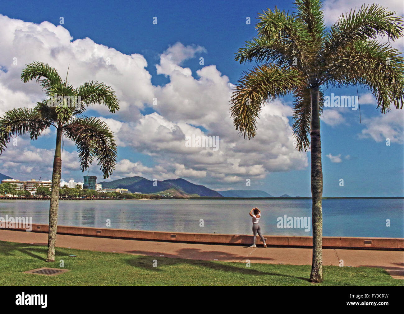 L'appréciation, le front de Cairns Esplanade park. pier et marina Banque D'Images