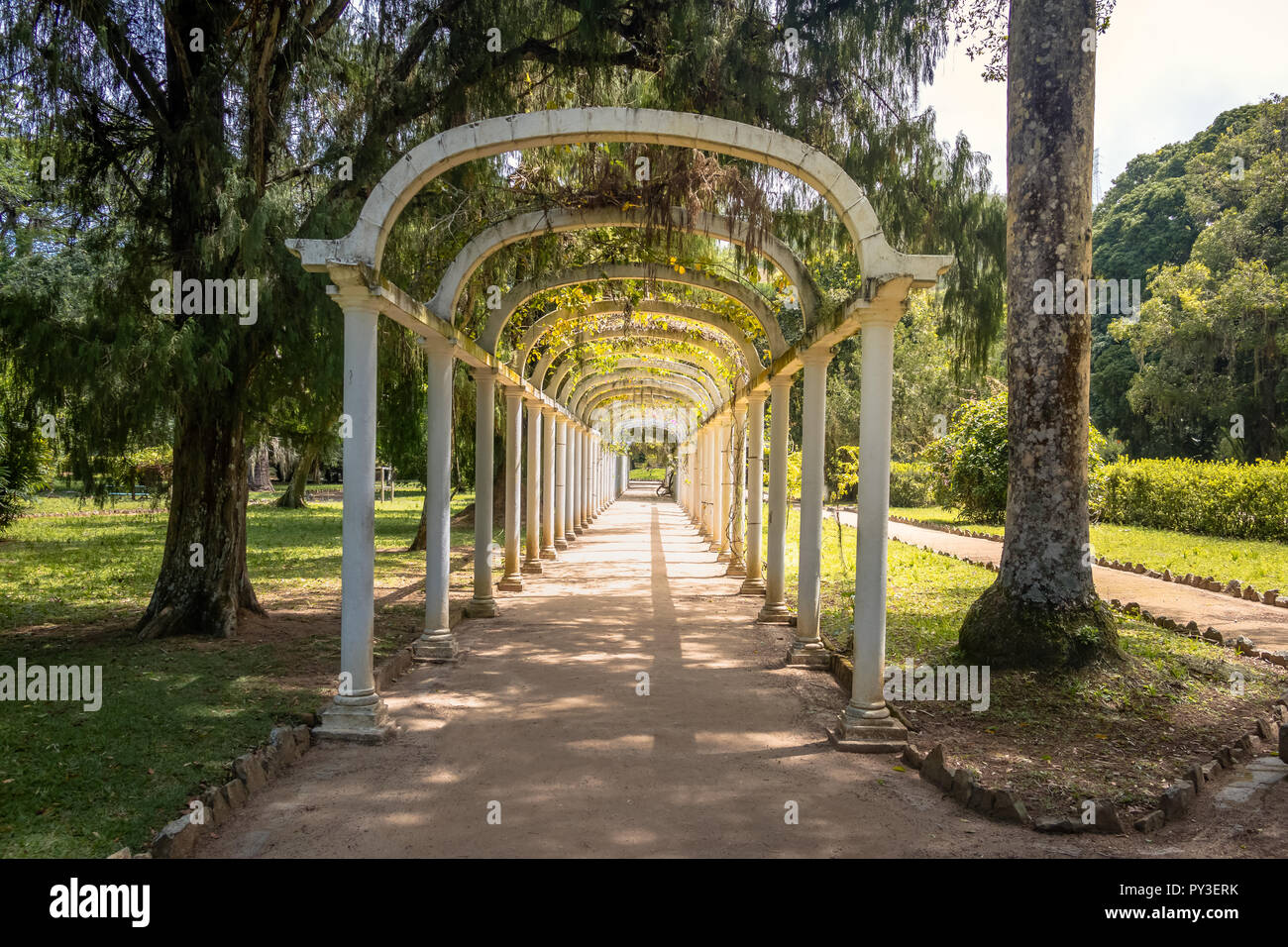 Jardim Botanico Botanical Garden - Rio de Janeiro, Brésil Banque D'Images
