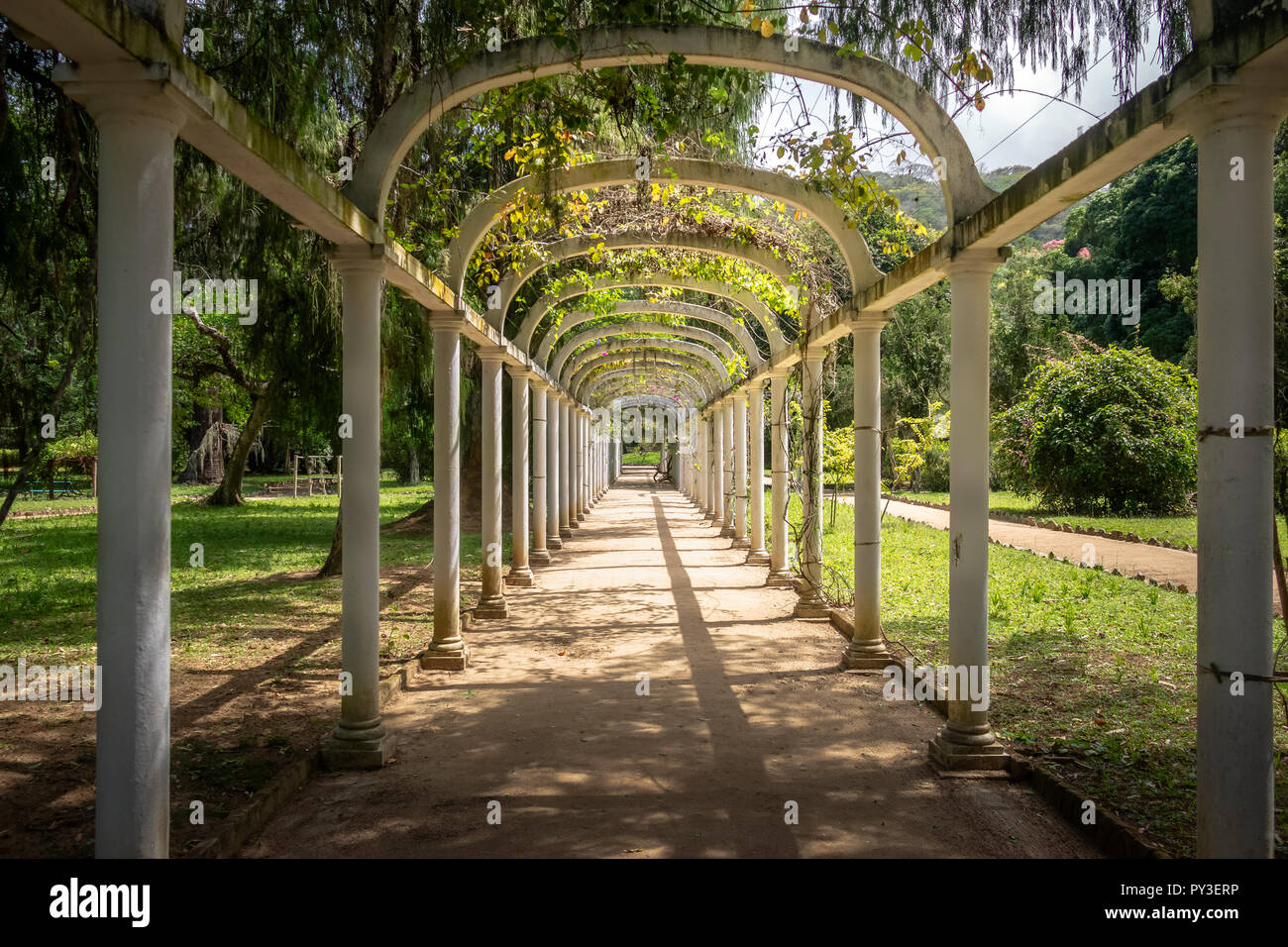 Jardim Botanico Botanical Garden - Rio de Janeiro, Brésil Banque D'Images