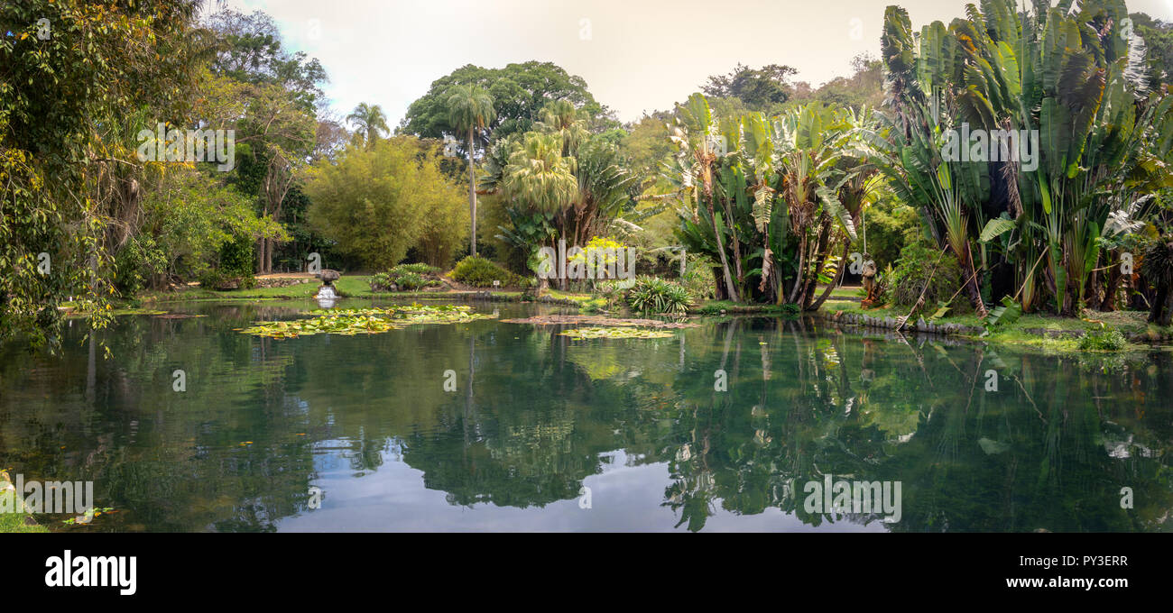 Frère Leandro Lake au Jardim Botanico Botanical Garden - Rio de Janeiro, Brésil Banque D'Images