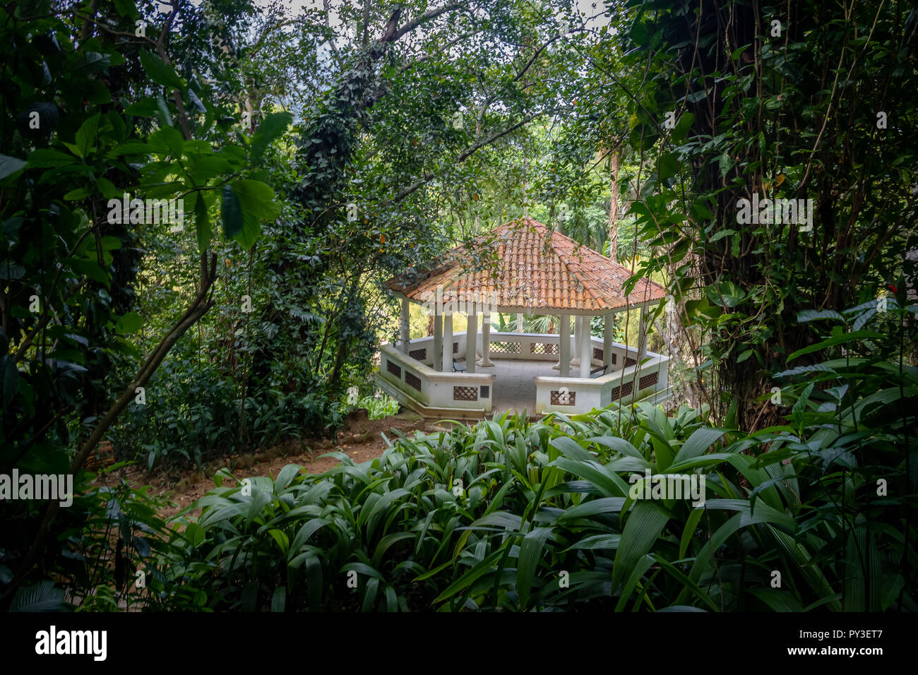 Appuyez sur Belvedere au Jardim Botanico Botanical Garden - Rio de Janeiro, Brésil Banque D'Images