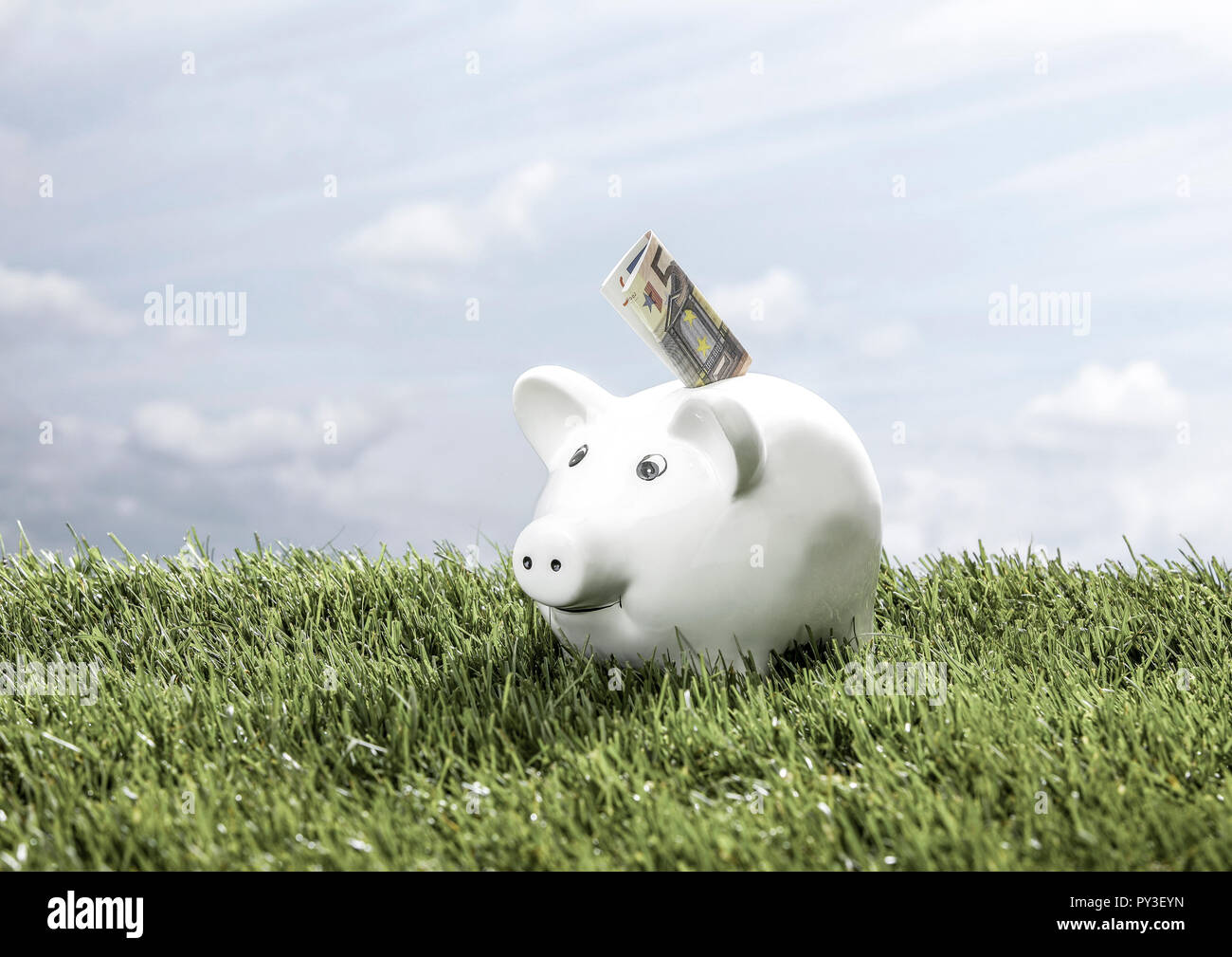 Sparschwein steht dans Wiese, mit Geldschein Banque D'Images