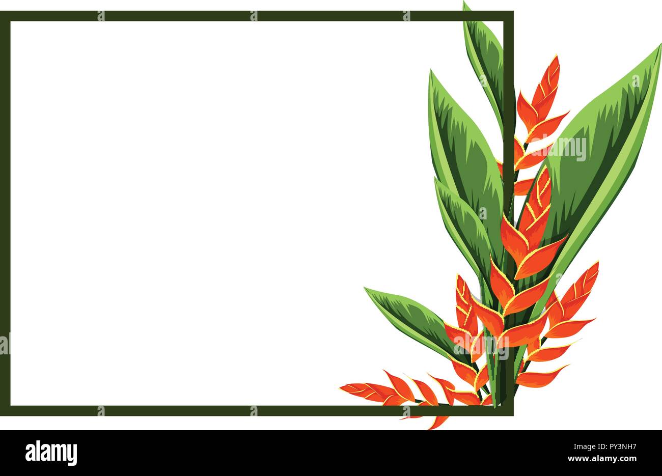 Bird of Paradise flower border illustration Illustration de Vecteur