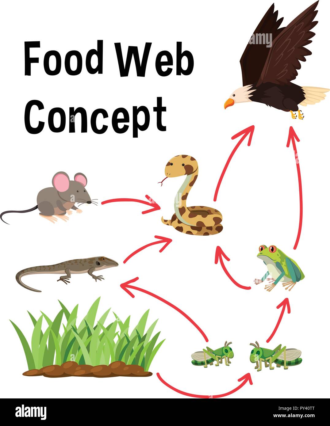 L'alimentation Science web concept illustration Illustration de Vecteur
