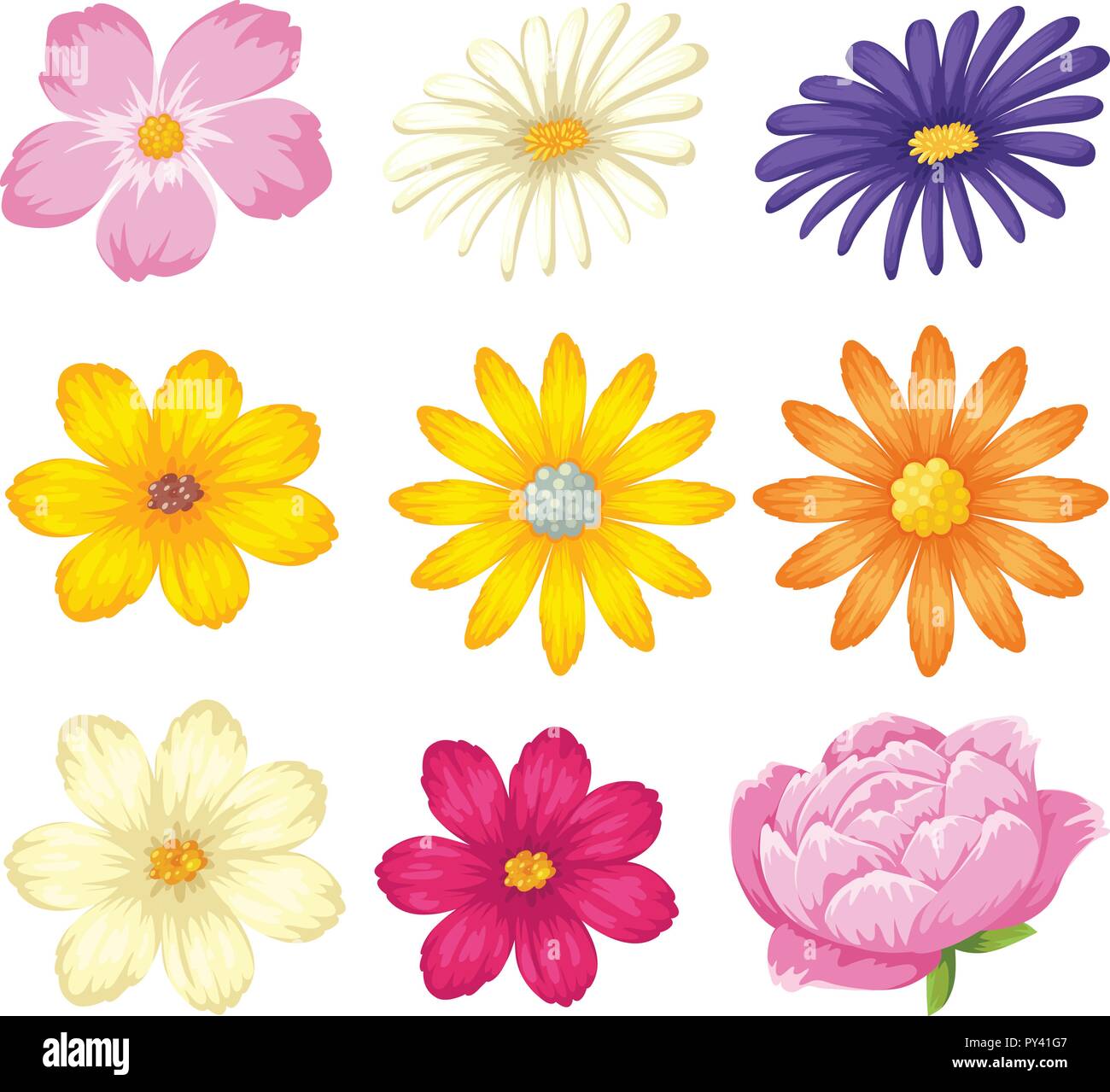 Un ensemble de belle fleur illustration Illustration de Vecteur