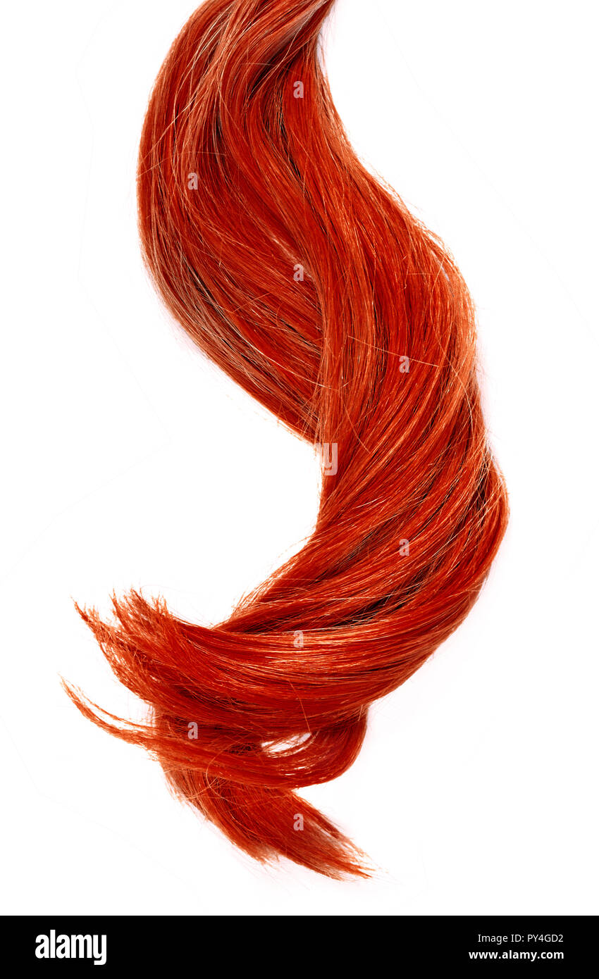 De beaux cheveux roux, isolé sur fond blanc. Longs cheveux rouges et bouclés, queue de cheveux sains, élément graphique ou couper les cheveux thème. Banque D'Images