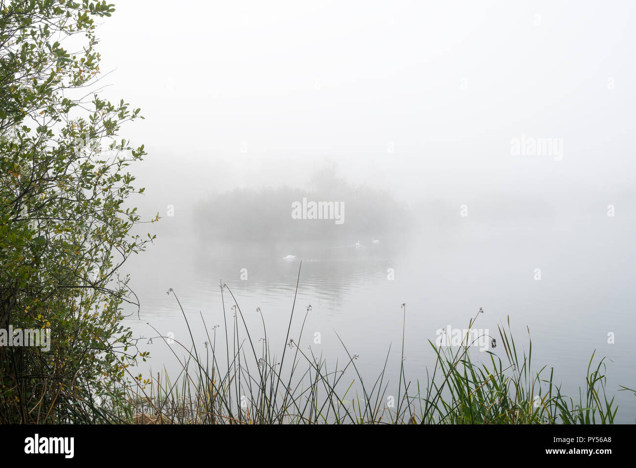 Brouillard sur le lac Banque D'Images