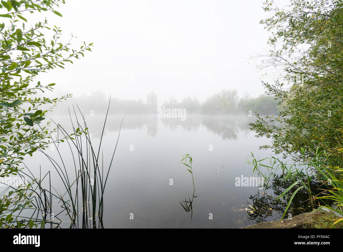 Jour de brouillard Banque D'Images