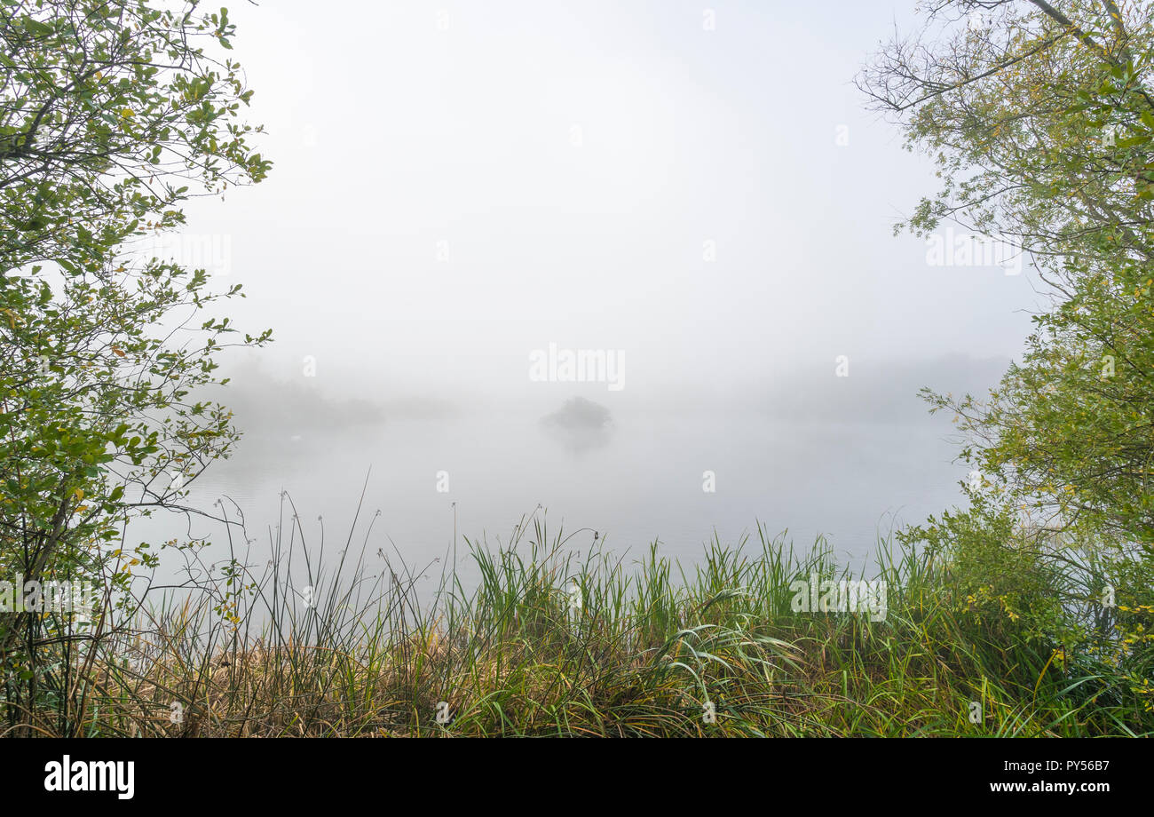 Brume sur le lac de Banque D'Images