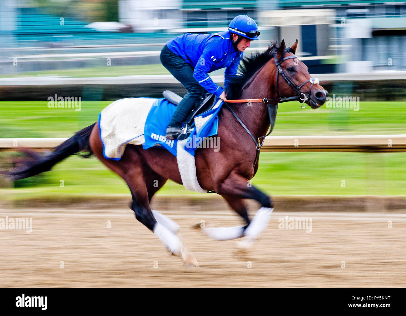 Louisville, Kentucky, USA. 25 octobre, 2034. 25 octobre 2018 : Thunder Snow (IRE), formés par Saeed bin Suroor, exercices en préparation de la Breeders' Cup Classic à Churchill Downs le 25 octobre 2018 à Louisville, Kentucky. Scott Serio/Eclipse Sportswire/CSM/Alamy Live News Banque D'Images