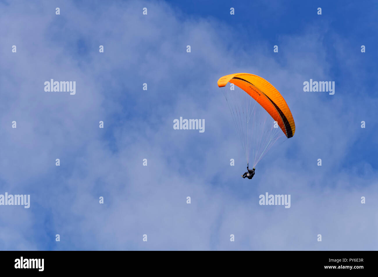 Parapente à la montagne Tegelberg dans les Alpes d'Ammergau, près de Schwangau, district d'Ostallgäu, Allgäu, Bavière, Allemagne Banque D'Images