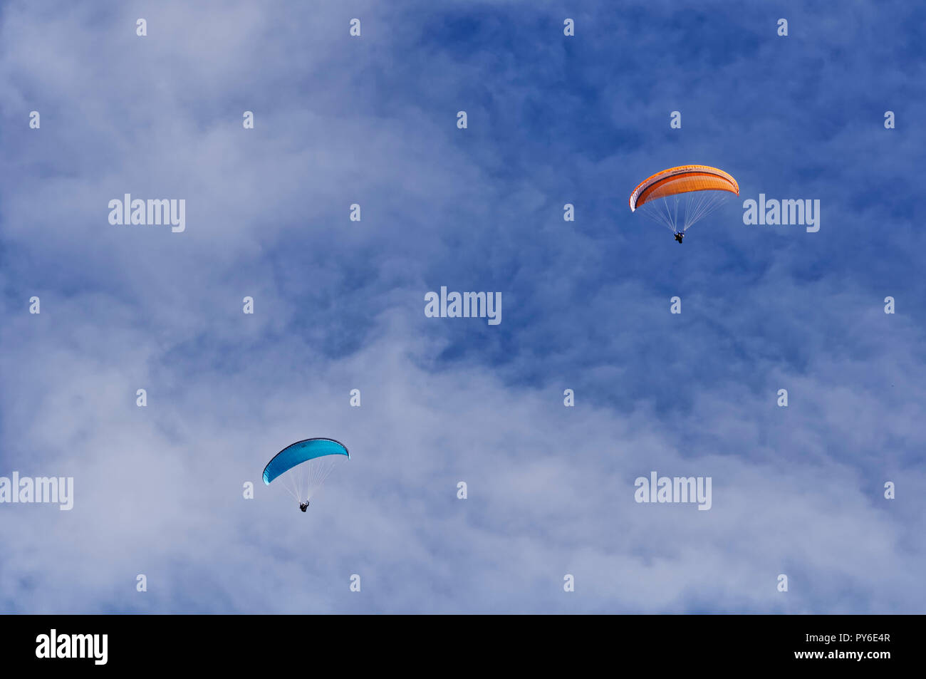 Parapentes de la montagne Tegelberg dans les Alpes d'Ammergau, près de Schwangau, district d'Ostallgäu, Allgäu, Bavière, Allemagne Banque D'Images