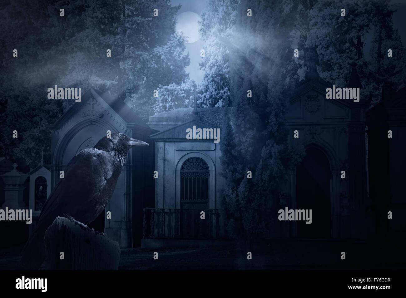 Image effrayante avec un corbeau et un vieux cimetière sombre éclairée par les rayons de la pleine lune Banque D'Images Image effrayante avec un corbeau et un vieux cimetière sombre éclairée par les rayons de la pleine lune Banque D'Images