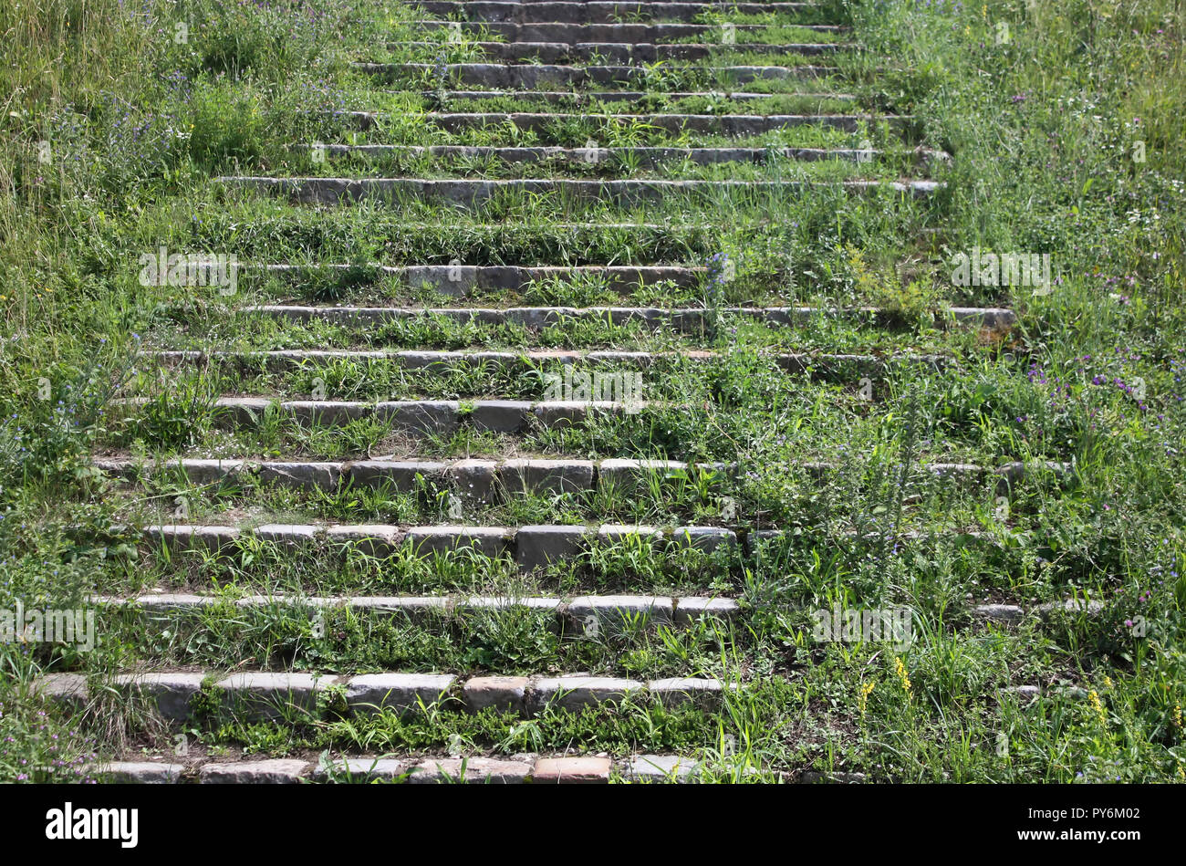 Ancien escalier de pierre dans l'herbe Banque D'Images