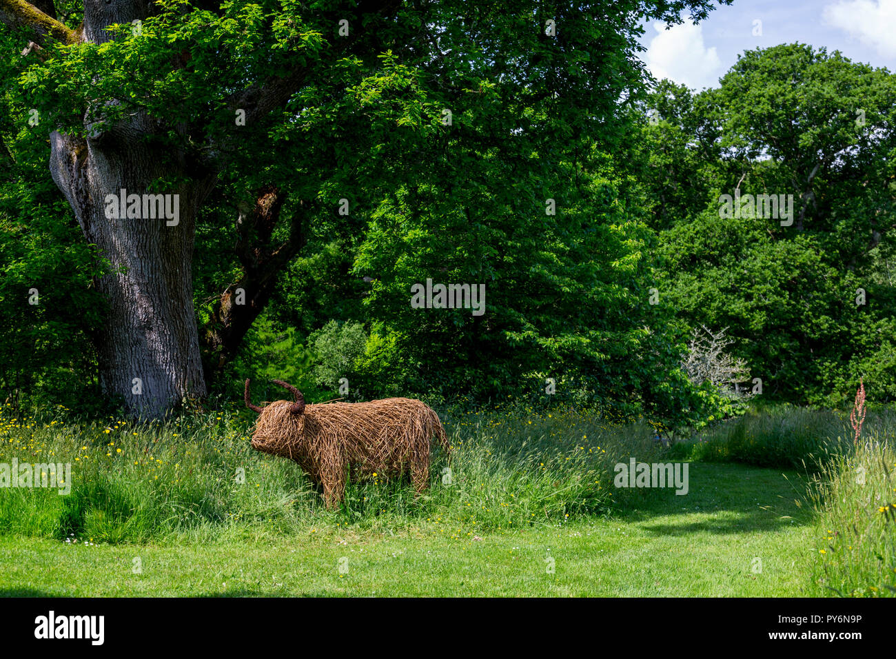 Une vache highland faits de willow dans the wild flower meadow au RHS Garden Rosemoor, Devon, England, UK Banque D'Images