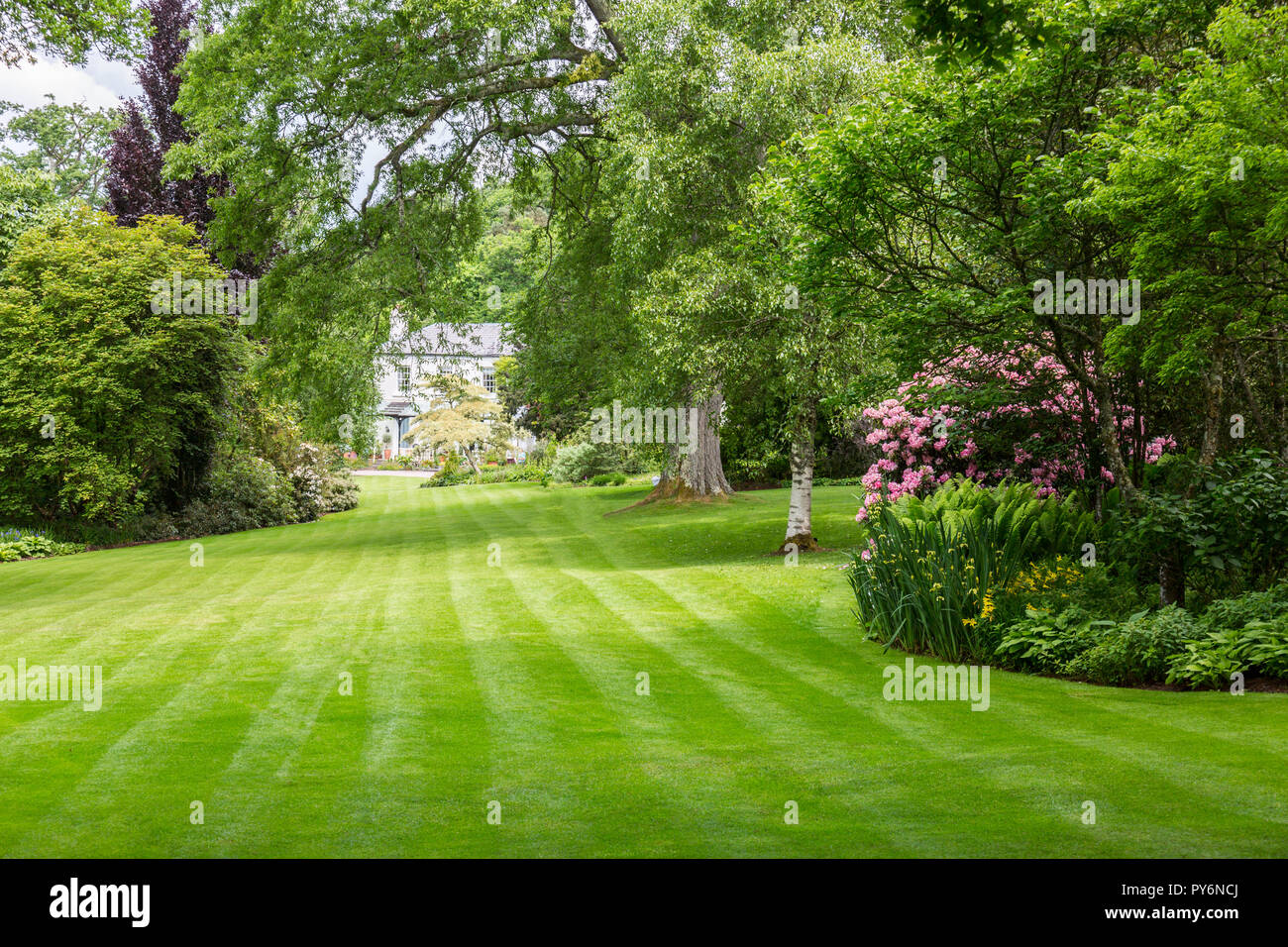 Un mélange coloré de fleurs et feuillages d'été approche de Lady Anne's House à la RHS Garden Rosemoor, Devon, England, UK Banque D'Images