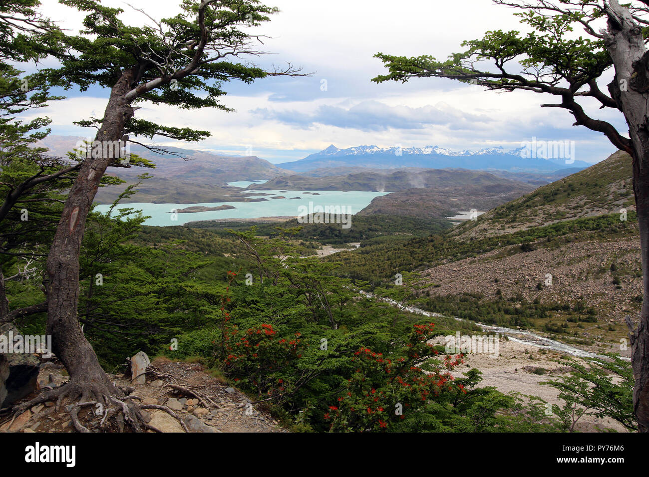 Vue magnifique sur le lac Nordenskjöld dans le Parc National Torres del Paine, Chili Banque D'Images