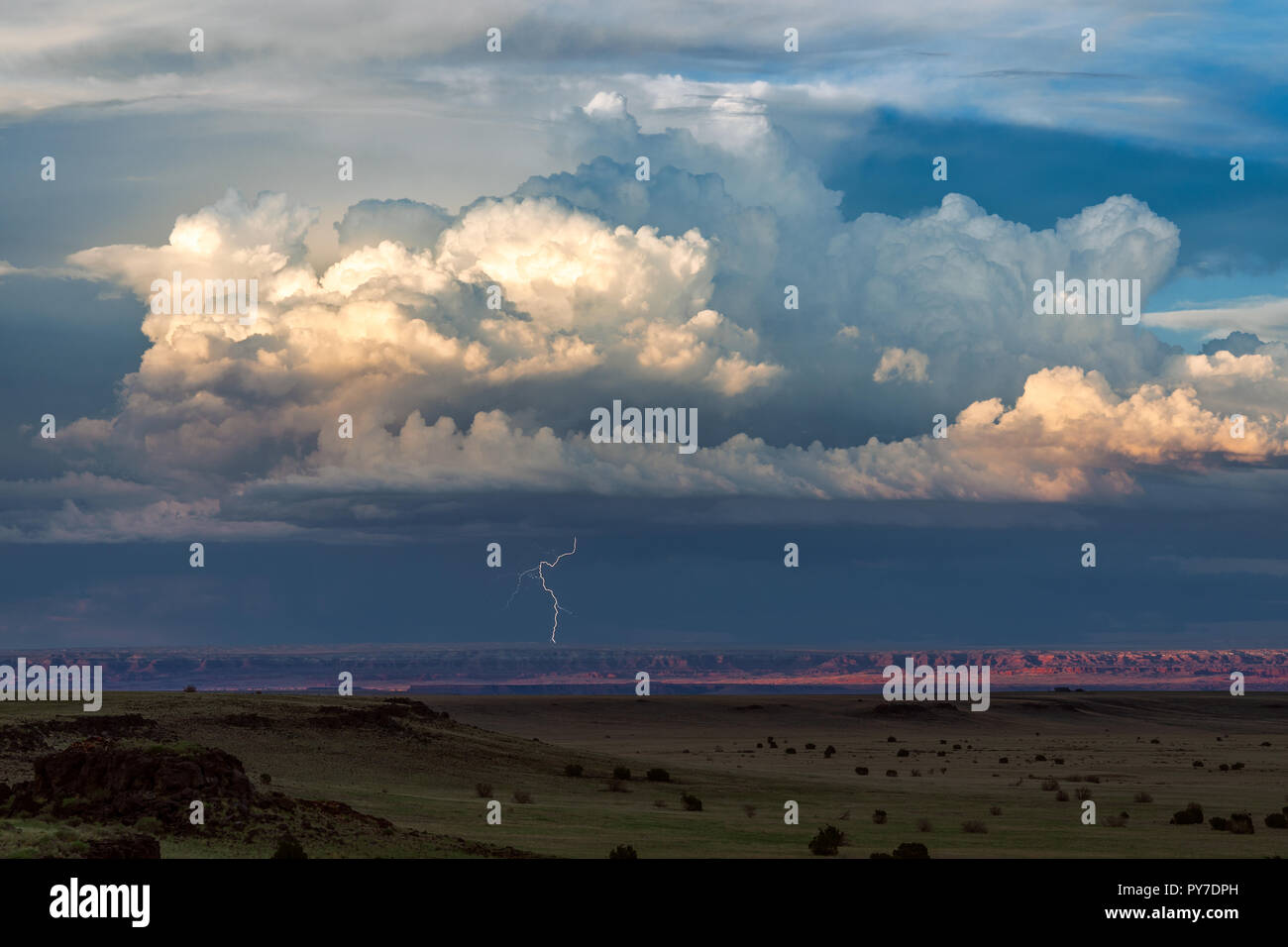 Paysage désertique pittoresque et orage cumulonimbus nuage avec la foudre au coucher du soleil dans le nord de l'Arizona Banque D'Images