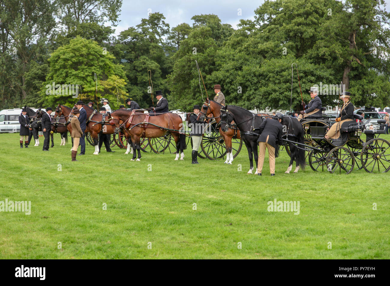 Cheval et un chariot, chariot ou Gig racers en attente de commencer à Chatsworth Country Fair, Chatsworth House, Derbyshire, Angleterre, RU Banque D'Images