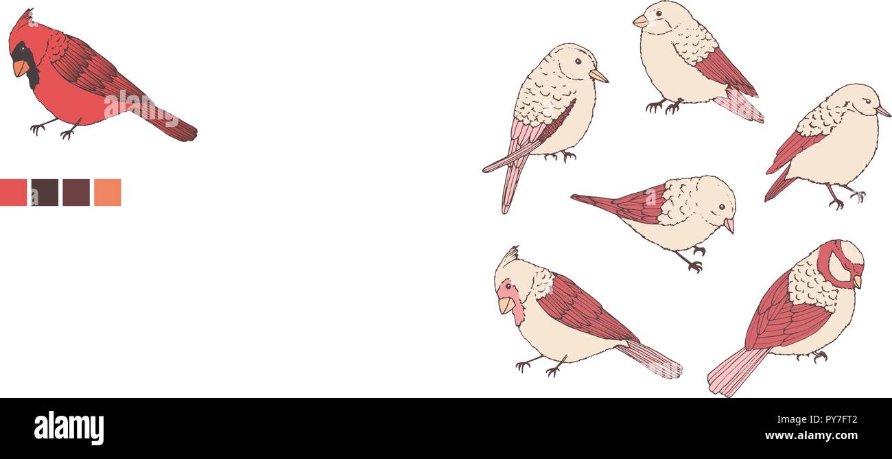 Hand drawn vector art ligne oiseaux ensemble. Jolie petite créatures dans des couleurs pastel isolé sur fond blanc. Les contours de la faune. Illustration de Vecteur