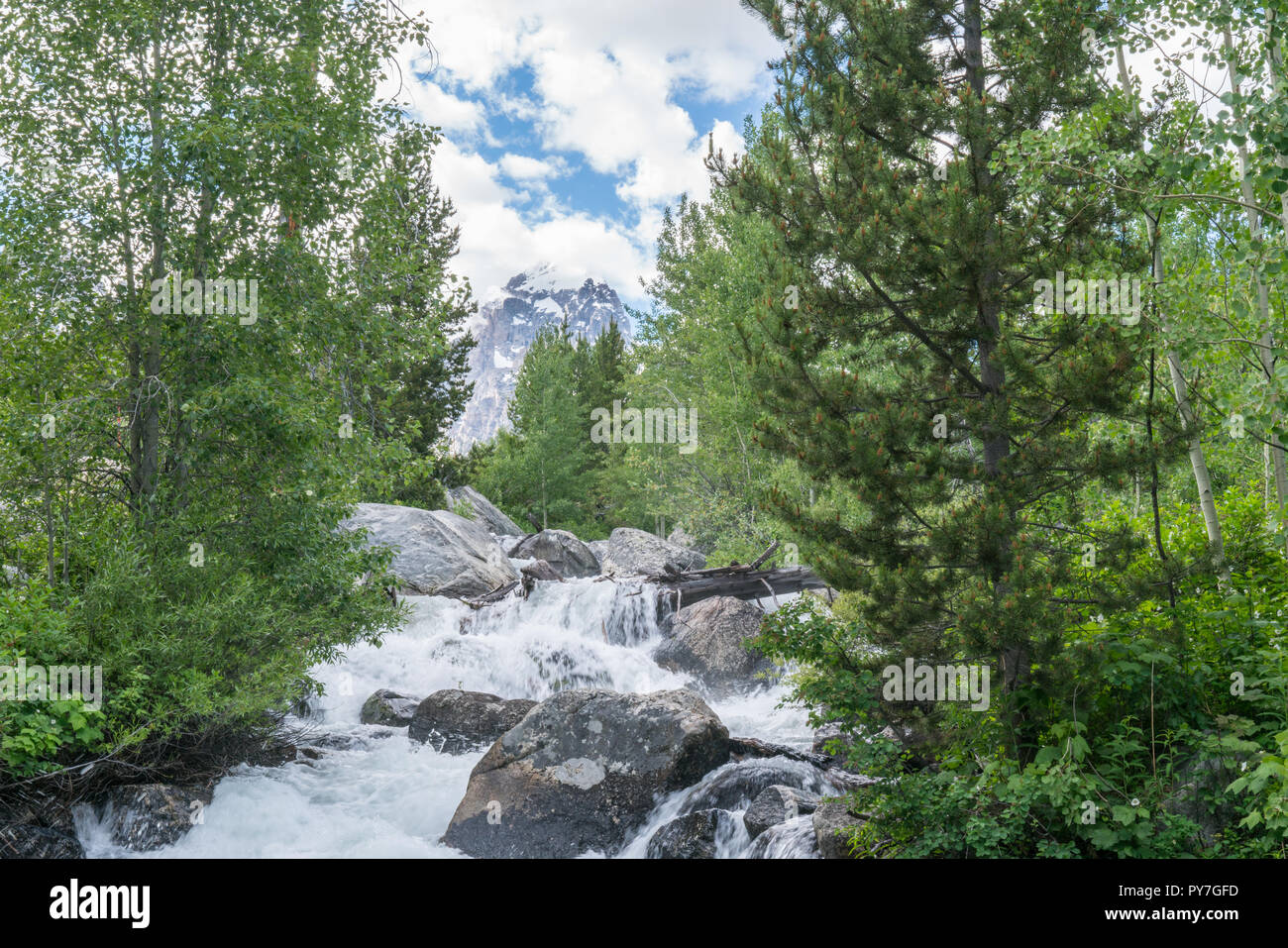 Taggart Creek, à Grand Teton National Park dans le Wyoming Banque D'Images