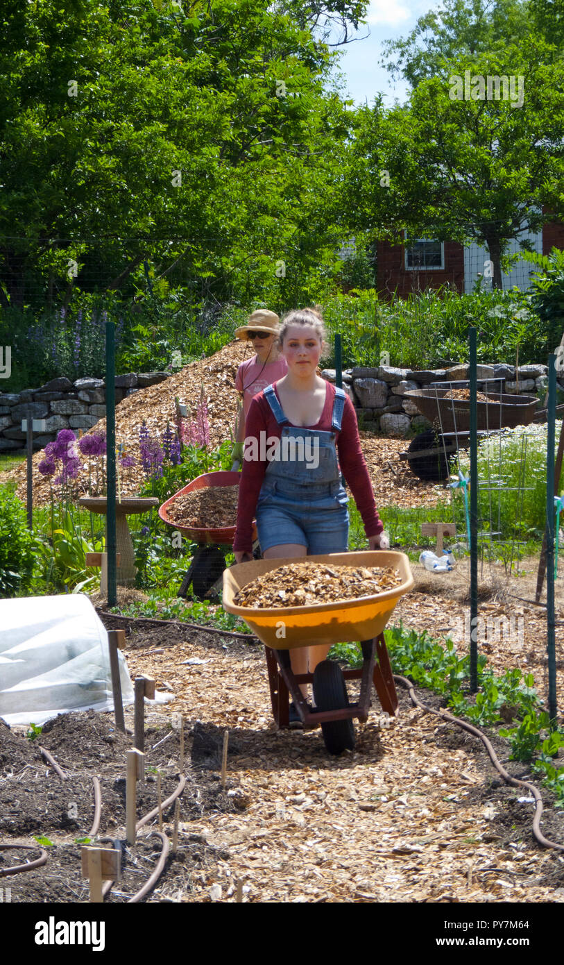 Young woman pushing wheelbarrow Banque D'Images