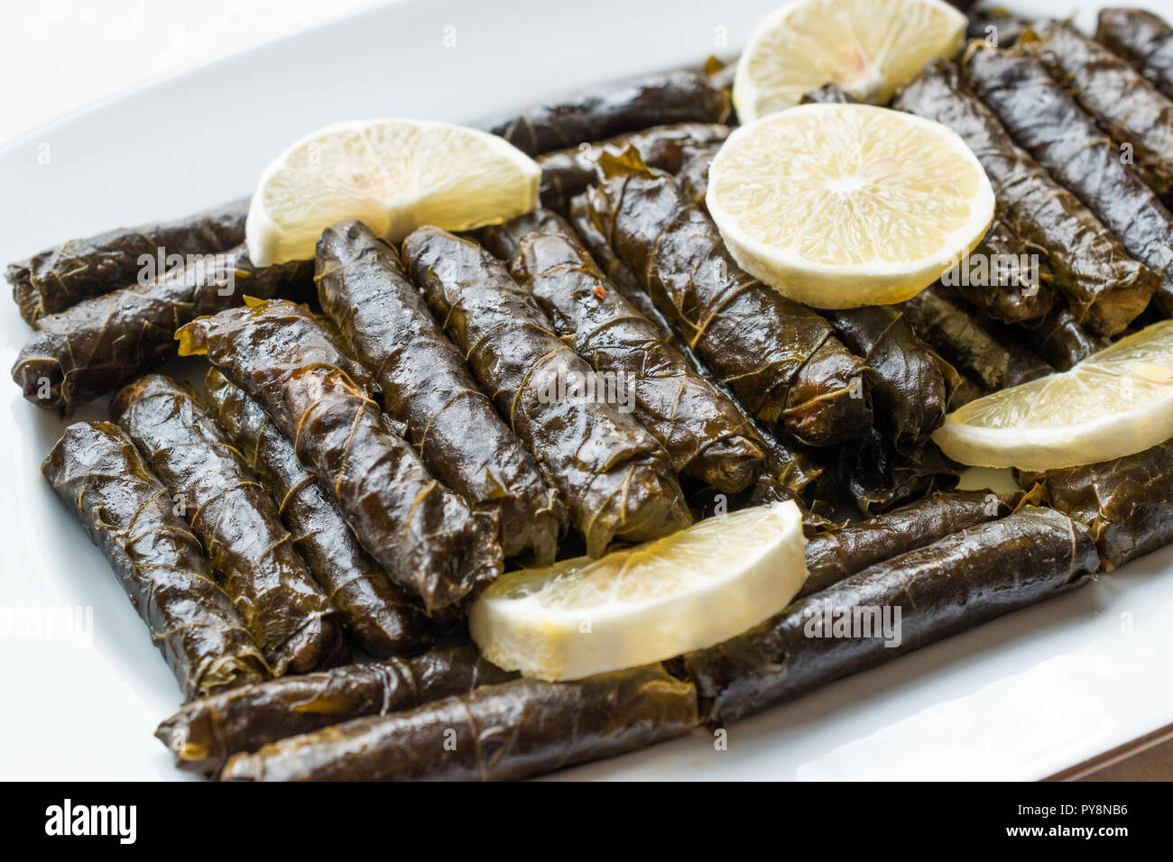 Feuilles de vigne farcies avec de l'huile d'olive et citron / Zeytinyagli Yaprak Sarma Dolma. Aliments biologiques traditionnelles. Banque D'Images