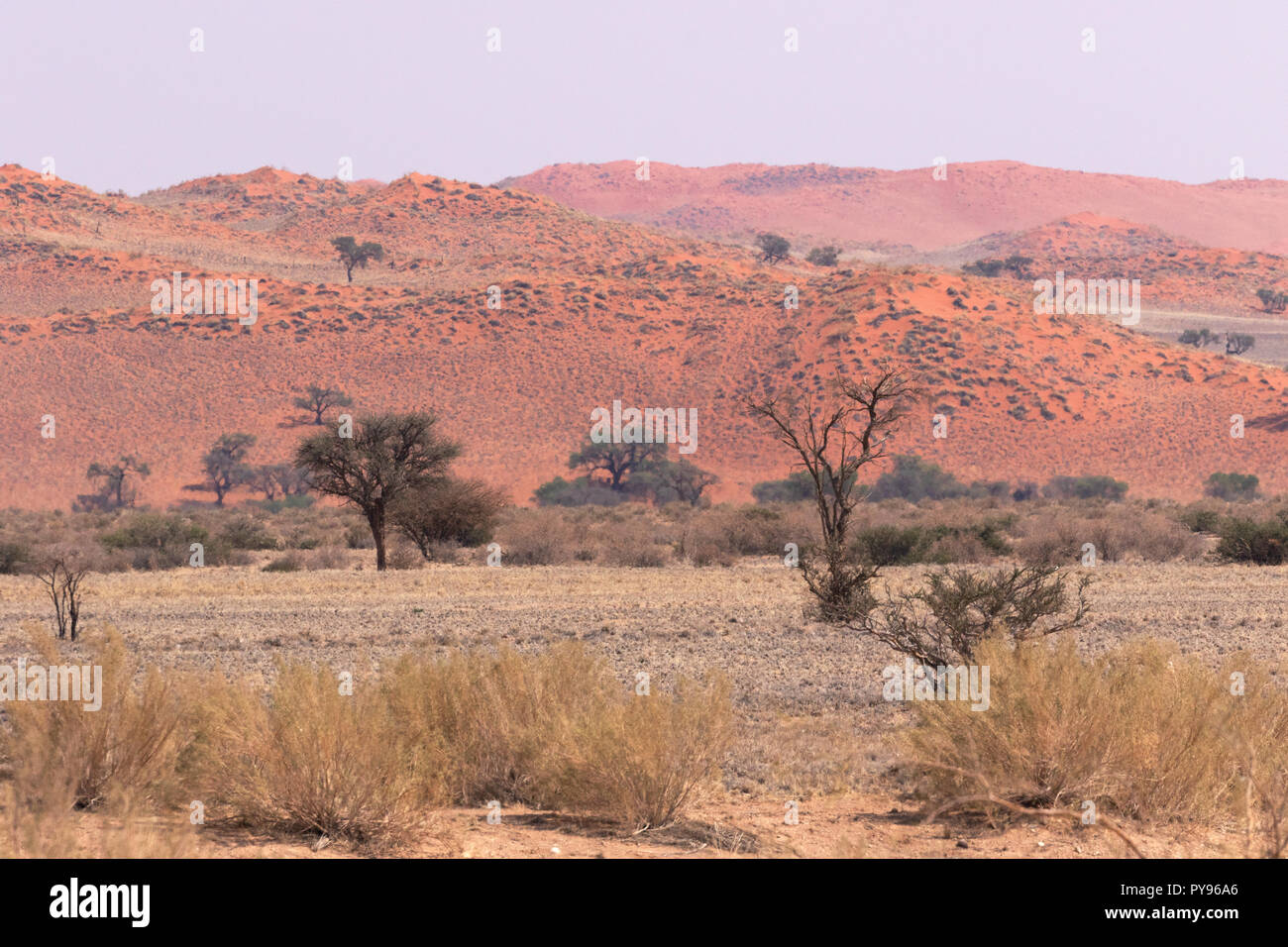 La Namibie paysage - exemple de l'Afrique, paysages et pittoresque de la Namib-Naukluft national park, Désert du Namib, Namibie, Afrique du Sud Banque D'Images