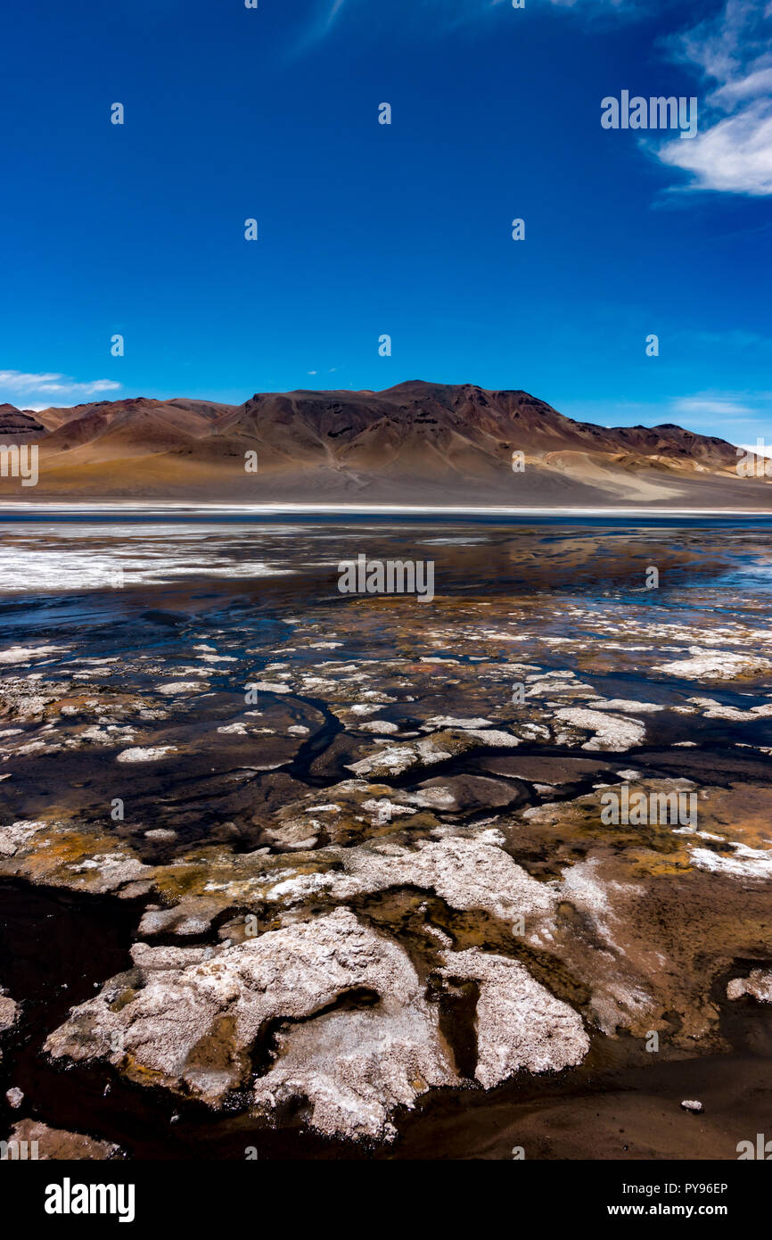 Laguna Negra est un écran haute lac andin sur la frontière, où le Chili, l'Argentine et la Bolivie tous ensemble près de la ville de San Pedro de Atacama Banque D'Images