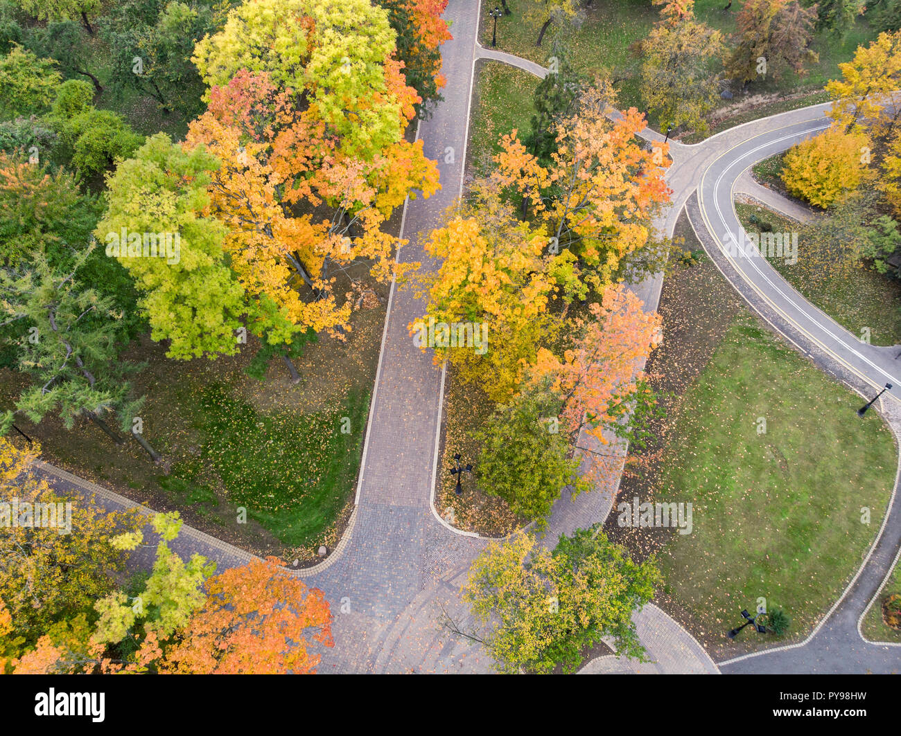 City Park, vue d'en haut. les arbres avec un feuillage lumineux pendant la saison d'automne Banque D'Images