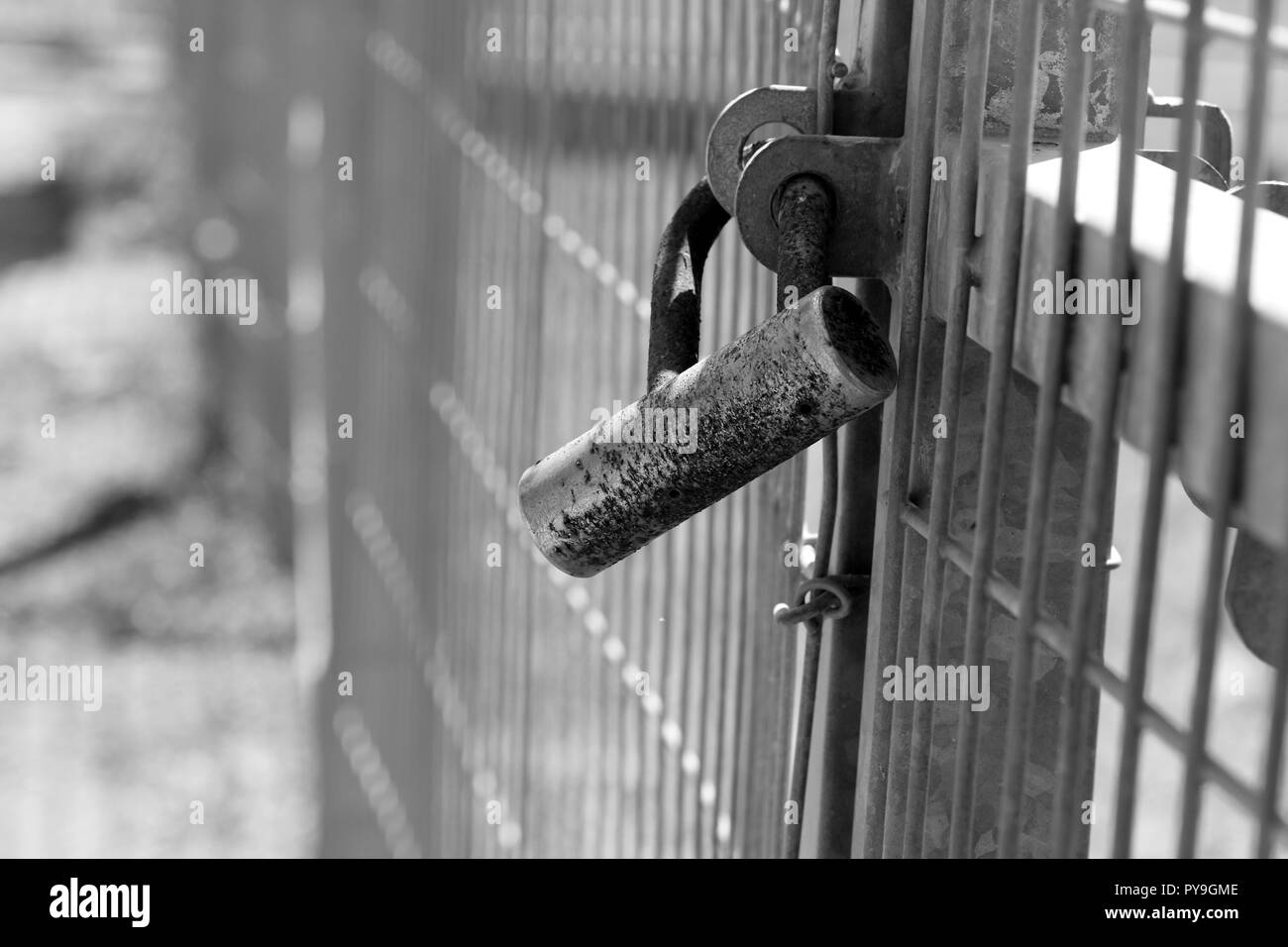 Un verrou sur une porte dans la clôture de métal Banque D'Images